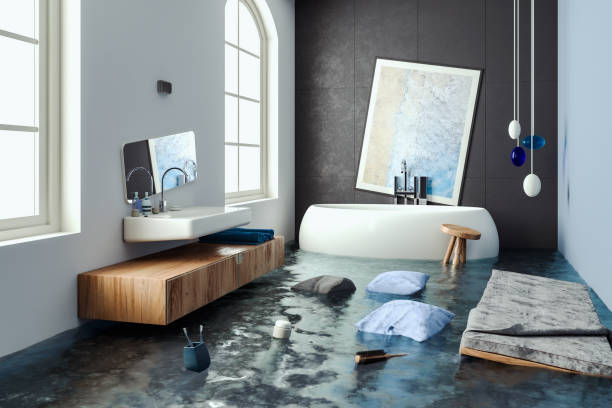 Best Mold removal after water damage  in Roslyn Heights, NY