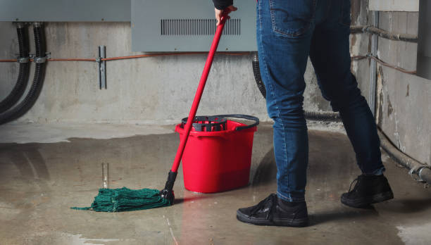 Best Flood damage cleanup  in Roslyn Heights, NY