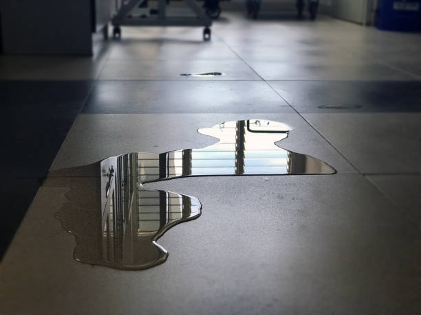 Best 24/7 water damage repair  in Roslyn Heights, NY