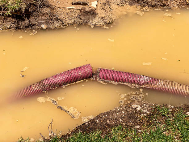 Best Water damage restoration near me  in Roslyn Heights, NY