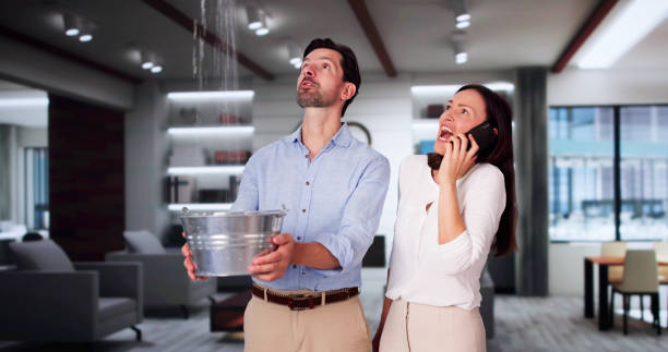 Best Residential water damage restoration  in Roslyn Heights, NY