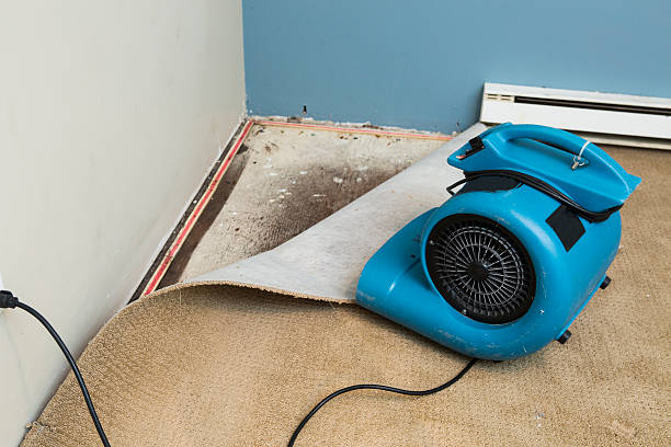 Best 24/7 water damage repair  in Roslyn Heights, NY